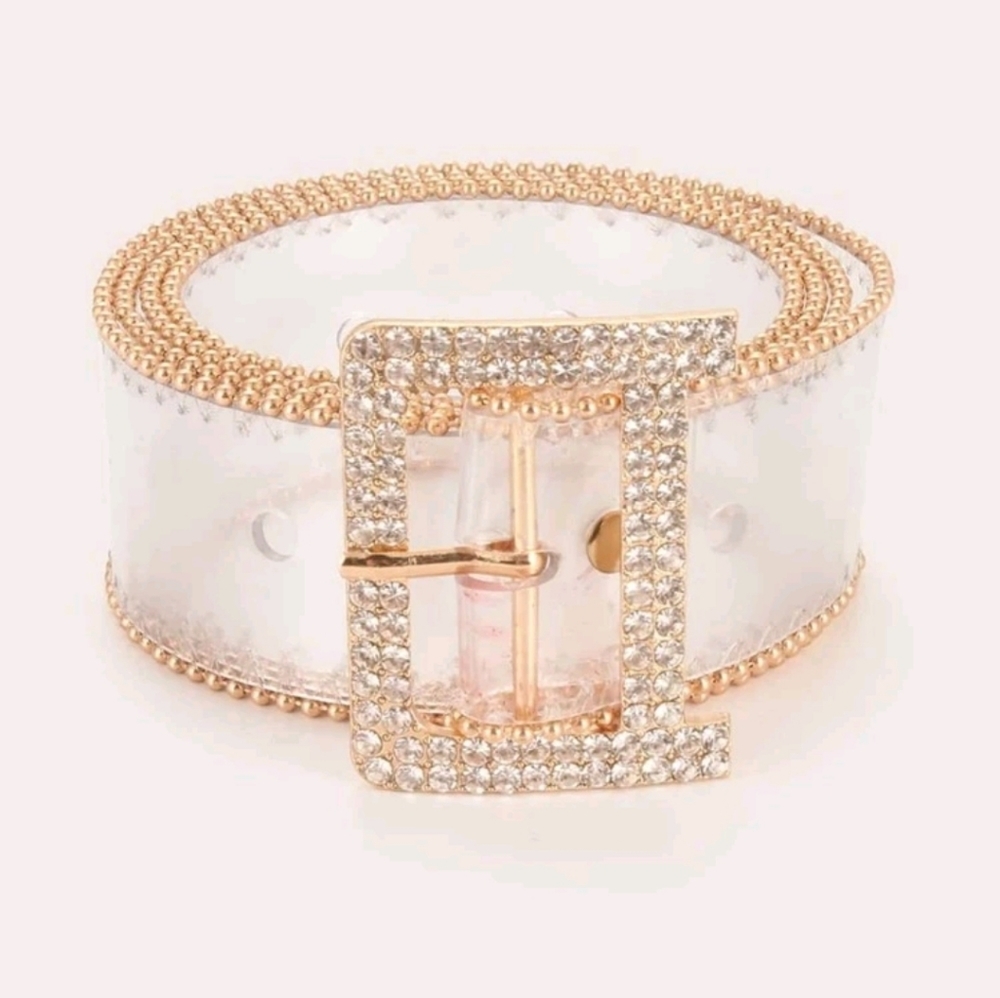 Pretty  Transparent Belt